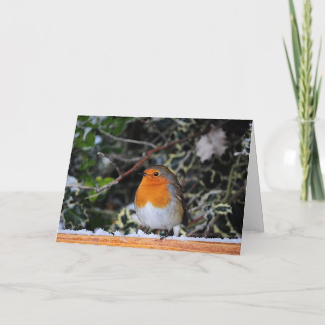 Robin Redbreast Christmas Card (Front)