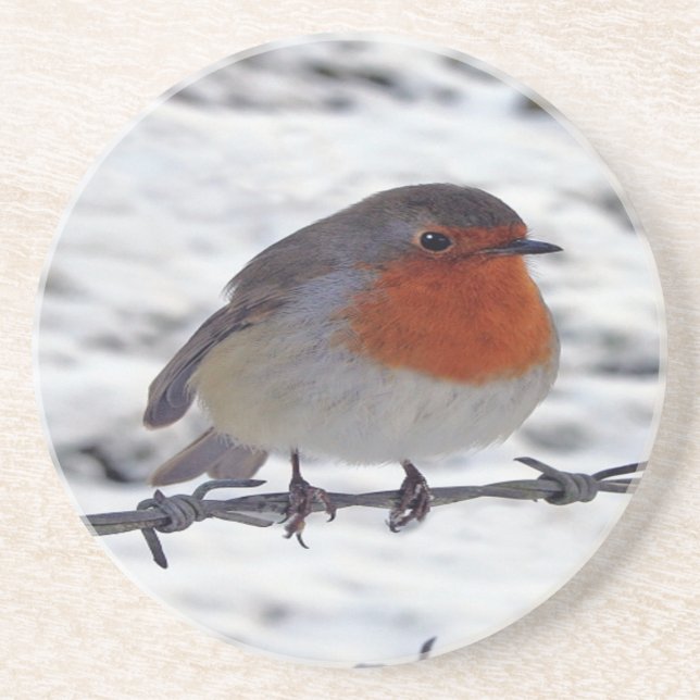 Robin Redbreast Coaster (Front)
