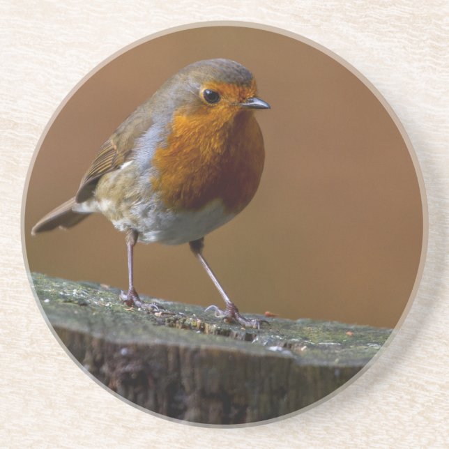 Robin Redbreast Coaster (Front)