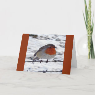 Robin Redbreast Holiday Card