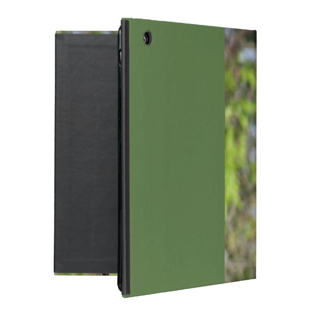 Robin Redbreast iPad Case (Back)