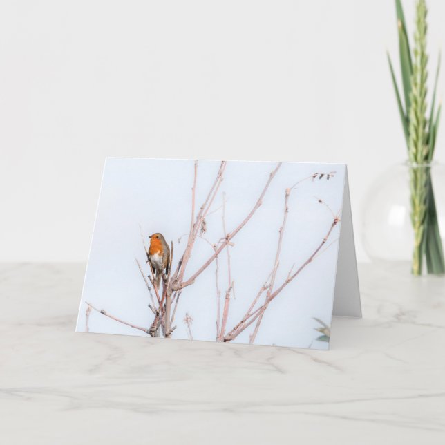 Robin Redbreast Note  Card (Front)