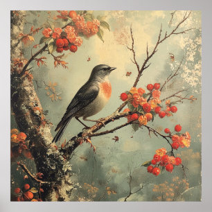 robin redbreast on a tree branch poster