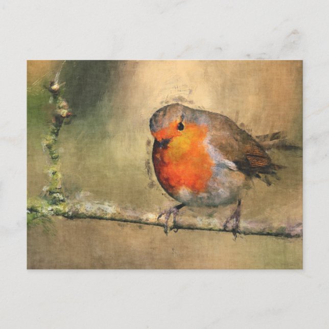 Robin Redbreast Postcard (Front)