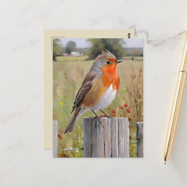  Robin Redbreast Postcard (Front/Back In Situ)