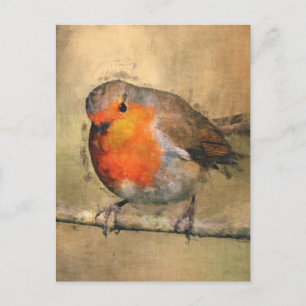 Robin Redbreast Postcard
