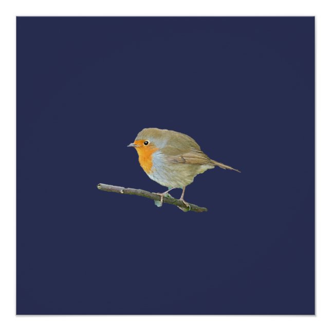 Robin Redbreast Poster (Front)