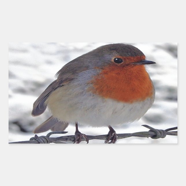 Robin Redbreast Rectangular Sticker (Front)