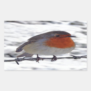 Robin Redbreast Rectangular Sticker