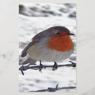Robin Redbreast Stationery