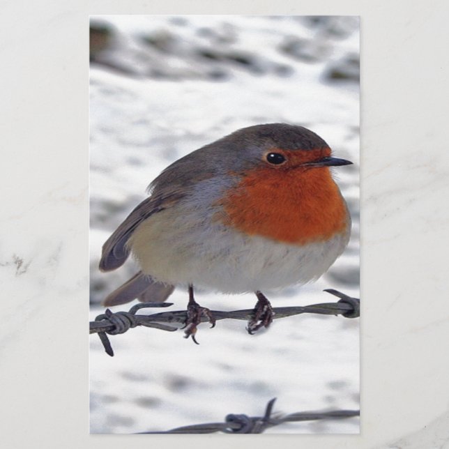 Robin Redbreast Stationery (Front)