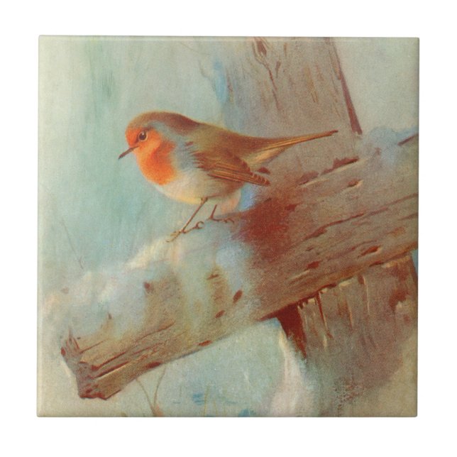Robin redbreast tile (Front)