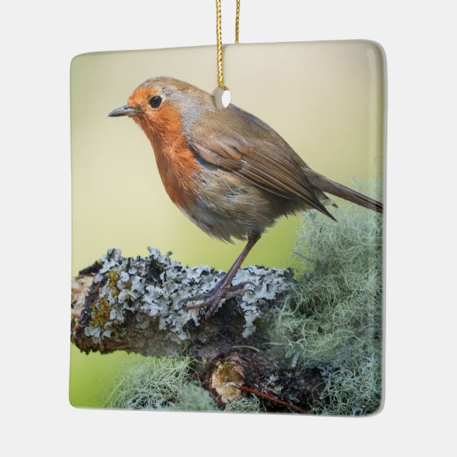 Robin’s Woodland Perch Ceramic Ornament (Left)
