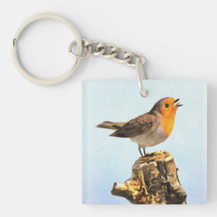 Robin singing  key ring