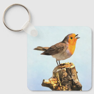 Robin singing key ring