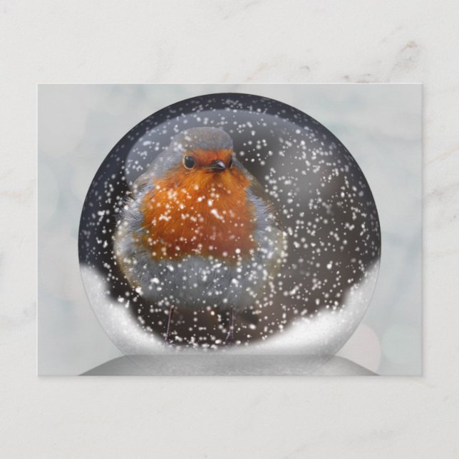 Robin Snowglobe Postcard (Front)