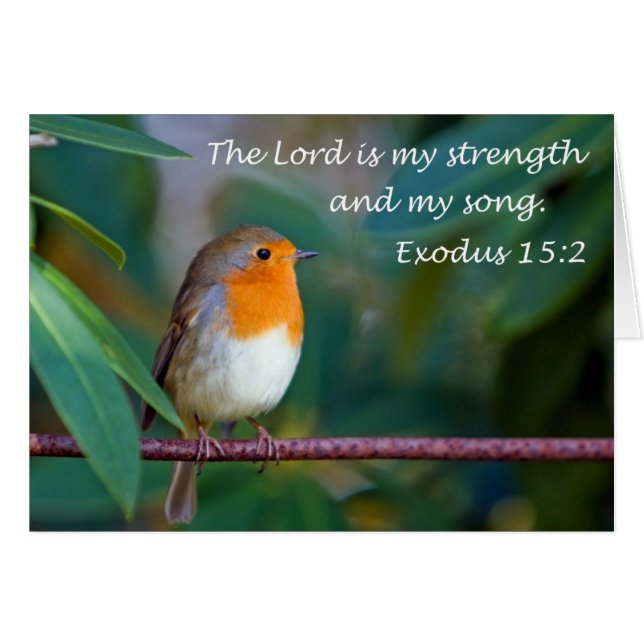 Robin Song Card (Front Horizontal)