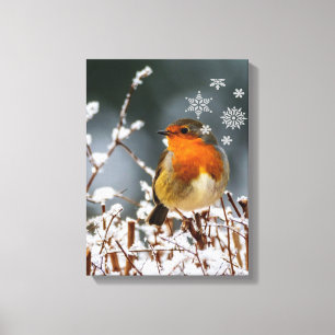Robin Songbird with Snowflakes Canvas Print