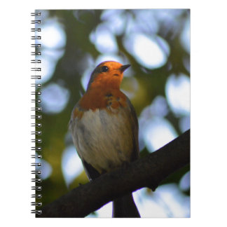 Robin Spiral Notebook
