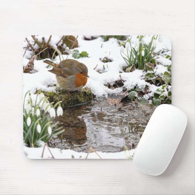 Robin Staring at its Reflection in Puddle Mouse Pad (With Mouse)