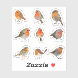 Robin Stickers
