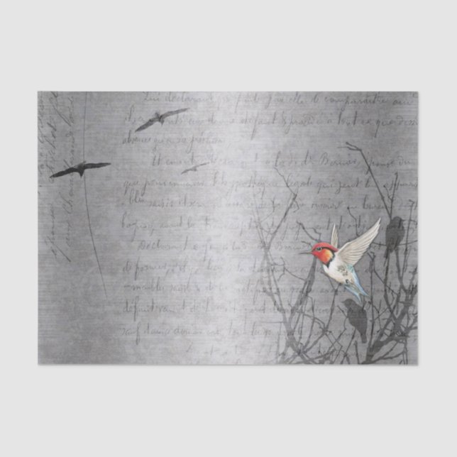 Robin Takes Flight Tissue Paper (Front)