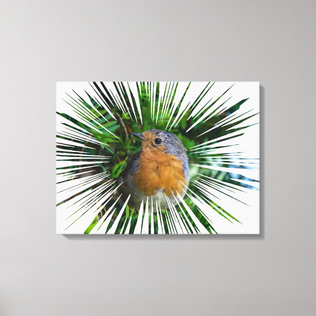 Robin up close canvas print (Front)