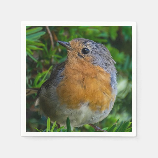 Robin up close napkins (Front)