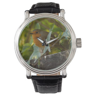 Robin Watch