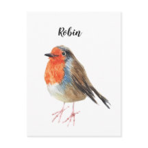 Robin watercolor painted bird. Nice card.