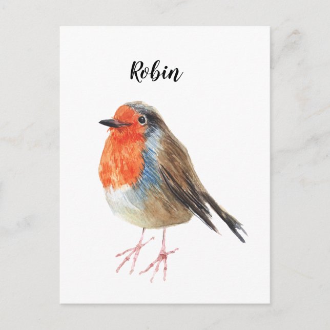 Robin watercolor painted bird. Nice card. Postcard (Front)