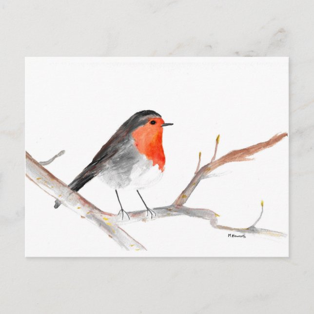 Robin watercolour painting Christmas art Holiday Postcard (Front)
