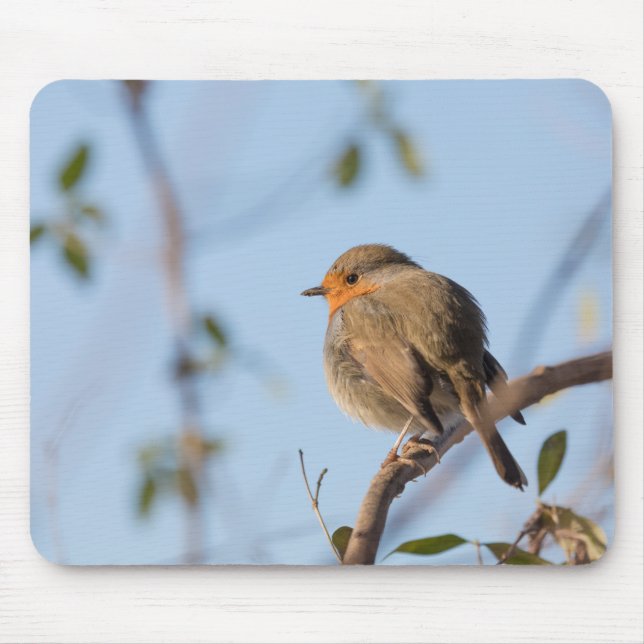 Robin Wildlife photo Mouse Pad (Front)
