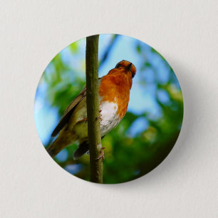 ROBINS 6 CM ROUND BADGE