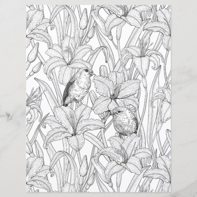 Robins and lilly flowers, black and white (Front)