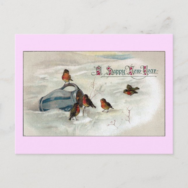 Robins and Pitcher Vintage New Year Holiday Postcard (Front)