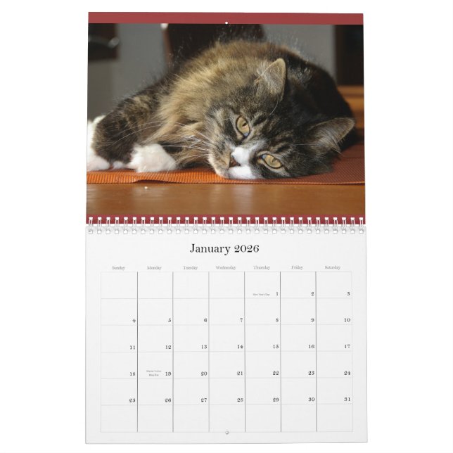 Robin's calender calendar (Jan 2026)