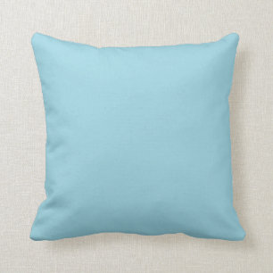 Robins Egg Blue Cushion