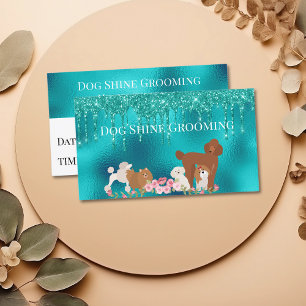 Robin's Egg Blue Dog Grooming Appointment Card 