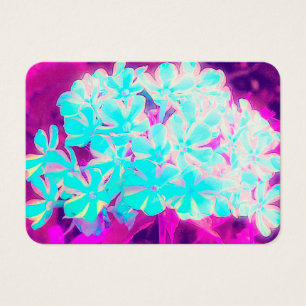 Robin's Egg Blue Peppermint Twist Phlox Flowers