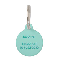 Robin's Egg Blue Solid Colour