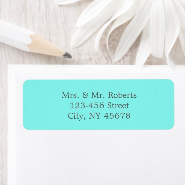 robin's egg blue turquoise aqua blue wedding (Insitu)