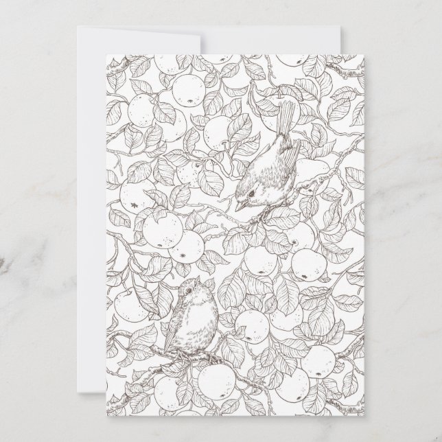 Robins in the apple tree/umber and white (Front)
