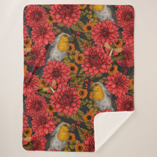 Robins in the autumn garden, red dahlias on black sherpa blanket