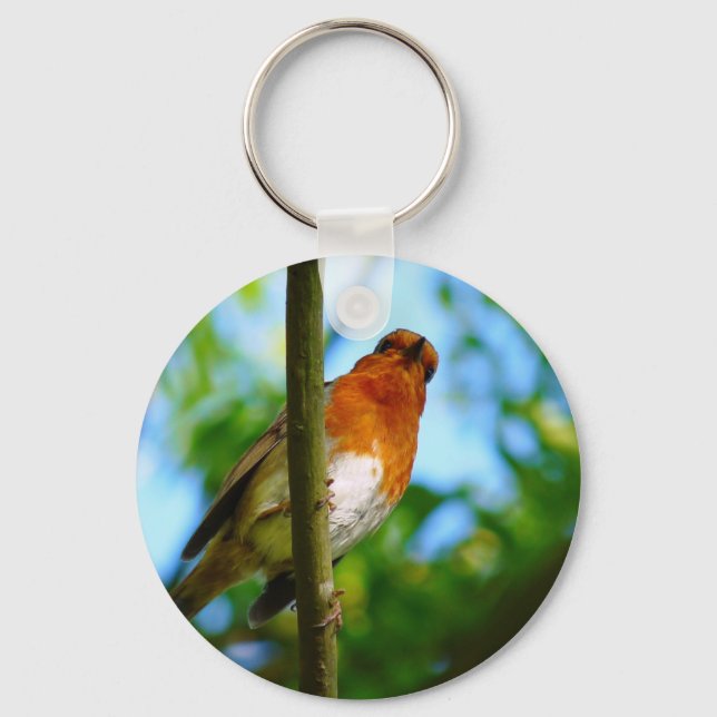 ROBINS KEY RING (Front)