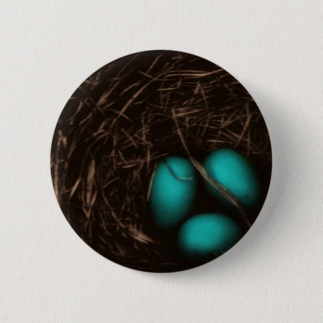 Robin's Nest Photo 6 Cm Round Badge (Front)