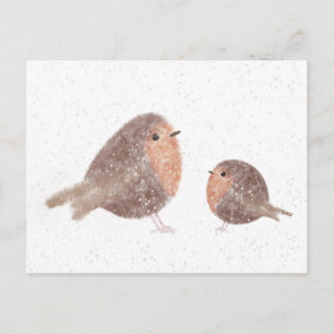 Robins Postcard