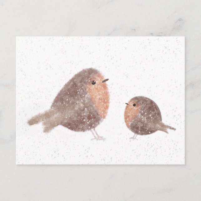 Robins Postcard (Front)