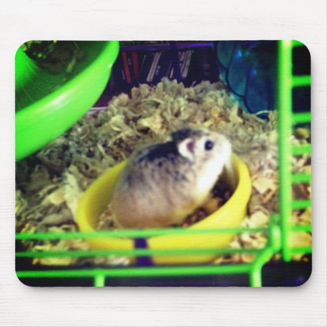 Robo hamster mouse pad (Front)