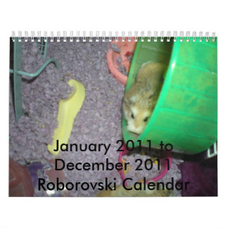 Roborovski 2011 calendar